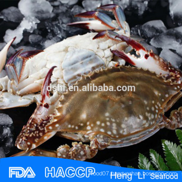 HL003 wholesale crabs of swimming crab